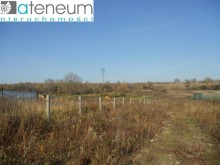 Zobacz szczegóły oferty